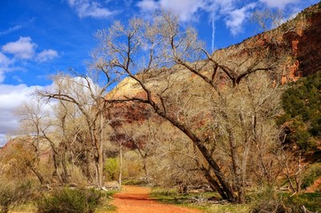 Zion National Park Utah dirt path to cliffs 