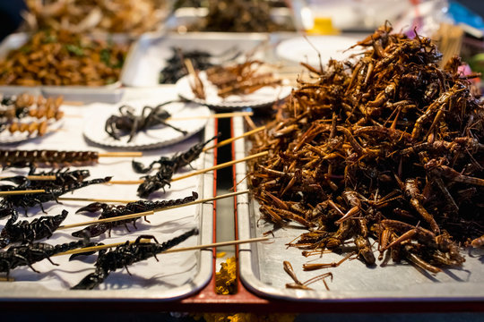 Thailand, Bangkok, insects for sale on a market