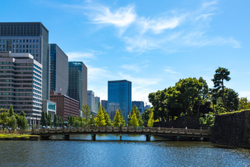 Fototapeta premium (東京都ｰ都市風景)青空と丸の内オフィスビル群５