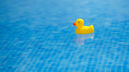 yellow rubber duck in blue swimming pool