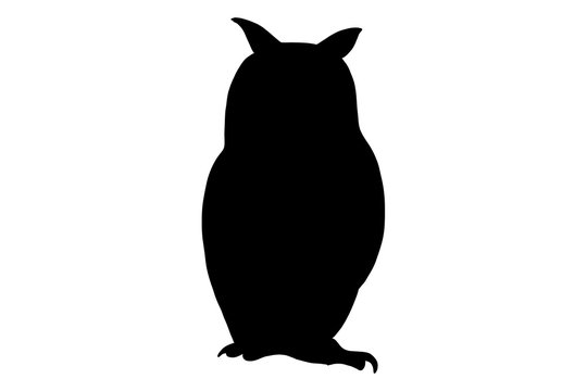 Owl bird, vector black color silhouette illustration for icon, logo, poster, banner. Abstract Wild animal, isolated without background For zoo, hunt shop, ildlife magazine, exhibition
