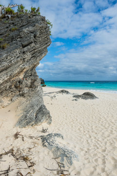 Bermuda, White sand beach in Chaplin's bay
