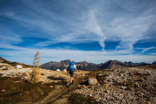A young man hikes through the colorful larch trees in the Pasayten Wilderness on the Pacific Crest Trail (PCT) in Washington.