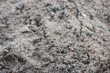 Sand with mud and small stones