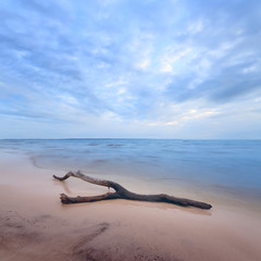 Fototapeta na wymiar log on the sandy beach / countryside wild place landscape