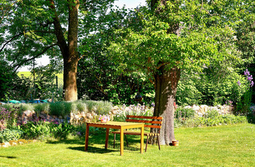 Obraz premium Wooden table and bench in the garden under an old tree.