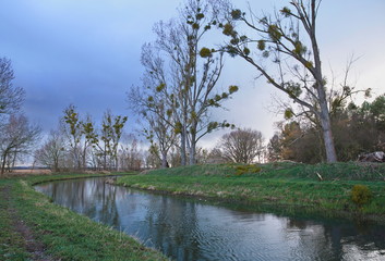Der Fluss Nieplitz bei Stangenhagen im zeitigen Frühjahr