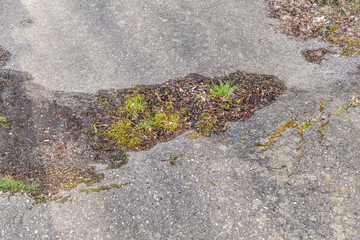 Risse in Teerstrasse