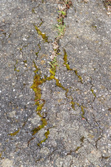 Risse in Teerstrasse