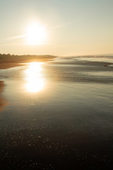 Obraz premium sunrise in the beach 