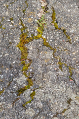 Risse in Teerstrasse