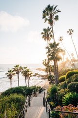 Staircase and palm trees at Heisler Park, in Laguna Beach, Orange County, California © jonbilous