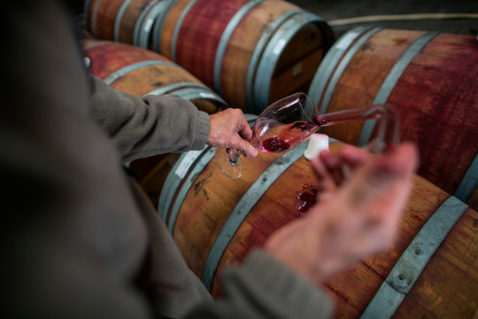 Winemakers working in Carruth Winery in San Diego, CA.