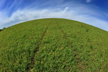 green field and blue sky