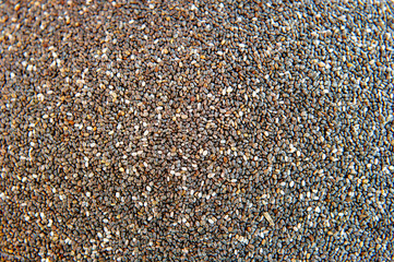 The chia seeds background. Healthy superfood