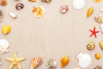 Obraz na płótnie Canvas Seashells summer background. Lots of different seashells piled together, top view, copy space, frame.