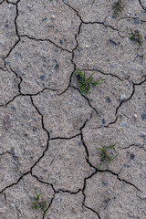Rissiger Ackerboden durch Trockenheit