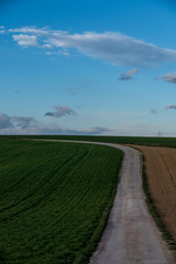 Kurviger Feldweg