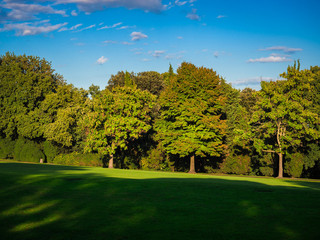 Trees and meadows in the spring.