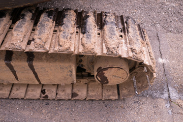 The look of caterpillars