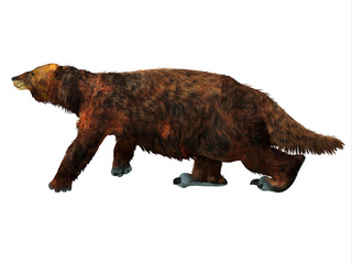 Megatherium Sloth Walking - Megatherium was a herbivorous Giant Ground Sloth that lived in Central and South America during the Pliocene and Pleistocene Periods.