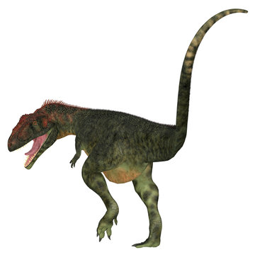 Mapusaurus Dinosaur Tail - Mapusaurus was a carnivorous theropod dinosaur that lived in Argentina during the Cretaceous Period.