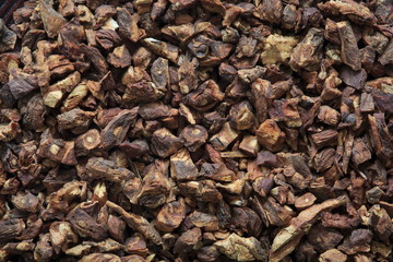 Dundee Lion Root image (herb)