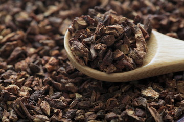 Dundee Lion Root image (herb)