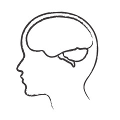 Linear silhouette of the head and brain. Vector illustration. 