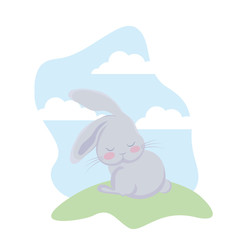 cute rabbit animal in grass