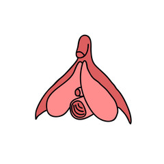 clitoris doodle illustration