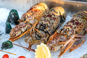 Sea fresh lobster at street market in Thailand. Seafood concept. Raw lobster for cooking, closeup