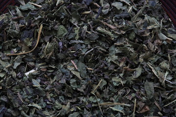 Nettle's image (herb)
