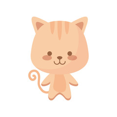 cute cat animal character