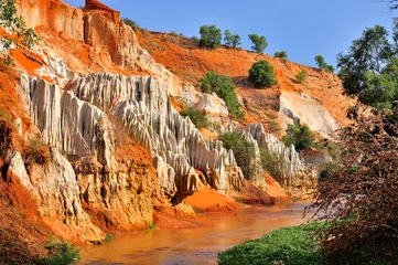 creek fairies in Vietnam © daksun
