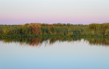 Sunrise over Florida Wetlands