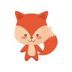 cute fox animal character