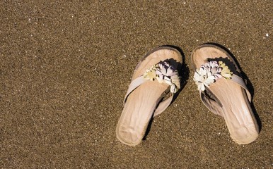 Fototapeta na wymiar Women's slippers on the beach.