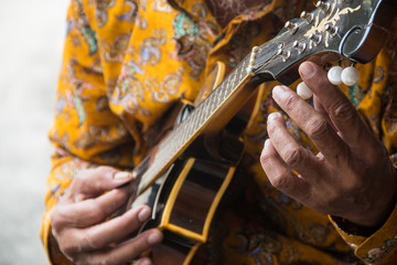 Mandolin musicians are preparing