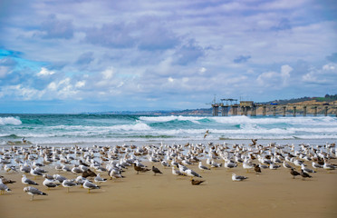 Fototapeta na wymiar Stormy Seas and Seagulls by the Pier