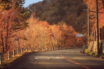 ドライブ