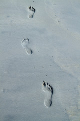 footprints in the beach