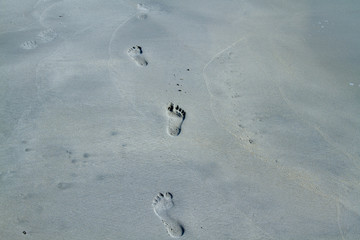 footprints in the sand