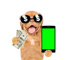 Funny puppy with sunglasses holding smartphone and dollars. Isolated on white background
