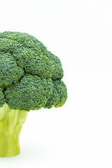 A broccoli in the white background
