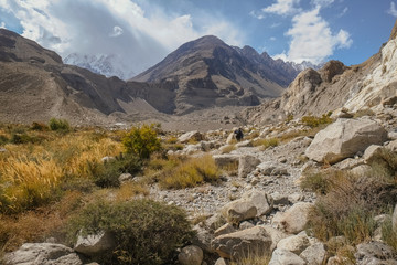 Fototapeta na wymiar Landscape view of wilderness area in Passu trekking trail surrounded by mountains. Gojal Upper Hunza. Gilgit Baltistan, Pakistan.