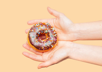 Female hands holding colorful donut on pastel background