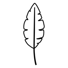 tropical leaf ecology icon