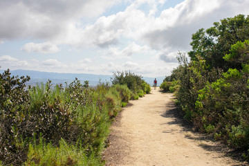 Fototapeta na wymiar Aliso & Woods Canyon Wilderness trail in the spring after a rainy season, Laguna Beach, CA hiking trails.
