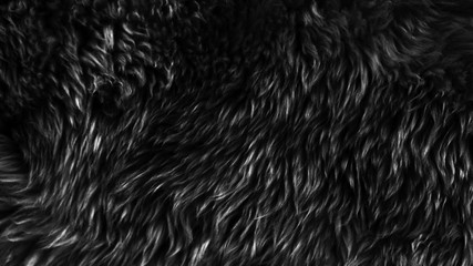 Black wool texture background, dark natural sheep wool, black seamless cotton, texture of gray fluffy fur, close-up fragment of black wool carpet